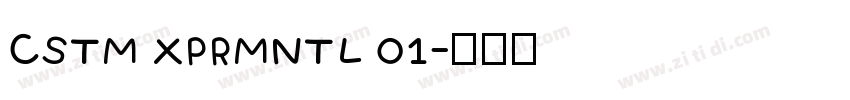 CSTM XPRMNTL 01字体转换